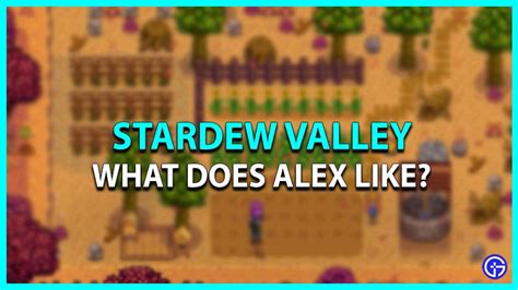 Stardew Valley: What Does Alex Like? (Best Gifts Guide)