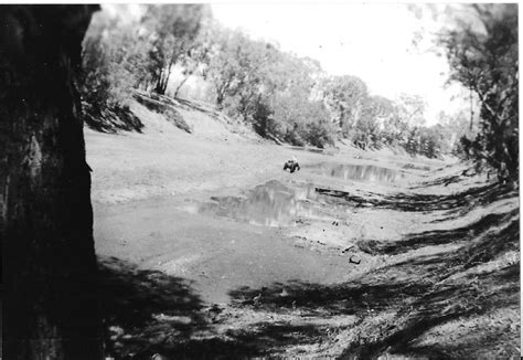 Old photos of Goondiwindi's Border Bridge | The Land | NSW