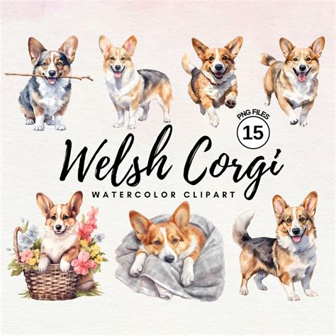 Corgi Clipart Bundle Watercolor Welsh Corgi Dog Clipart PNG Bundle ...