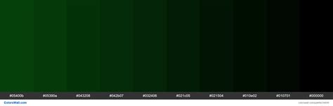 Forest Green Color Codes The Hex Rgb And Cmyk Values That You Need Images