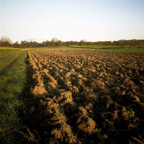 Tillage erosion costing farmers billions - Country Guide