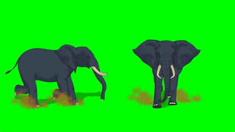 elephant run cycle animation Stock Footage Video (100% Royalty-free) 30331411 | Shutterstock