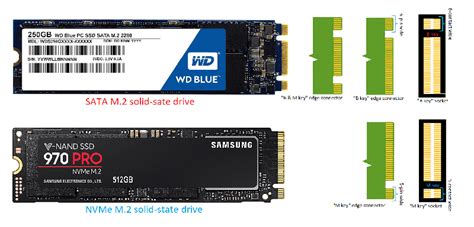 Vs NVME: What's The Difference?, 51% OFF | www.elevate.in