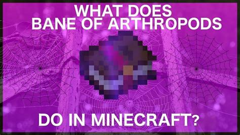 Bane of Arthropods vs Smite in Minecraft