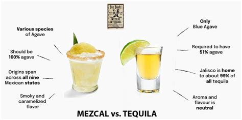 Mezcal vs. Tequila: A Spirited Journey