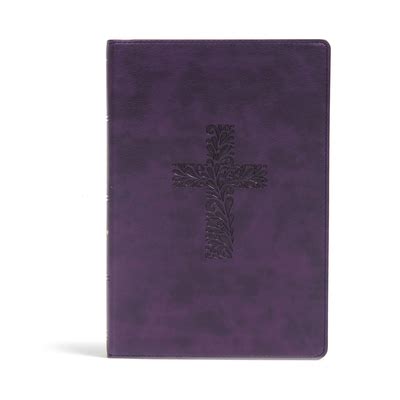 KJV Rainbow Study Bible, Purple Leathertouch