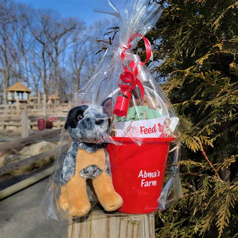 Barnyard Petting Zoo Gift Bundle with Pepper the Farm Dog – Abma's Farm