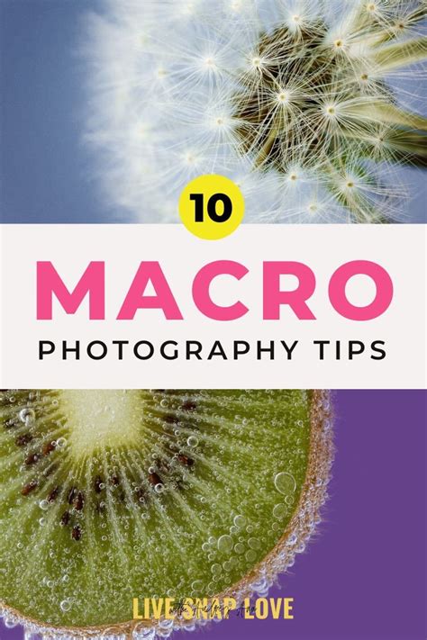 10 Tips for Better Macro Photos