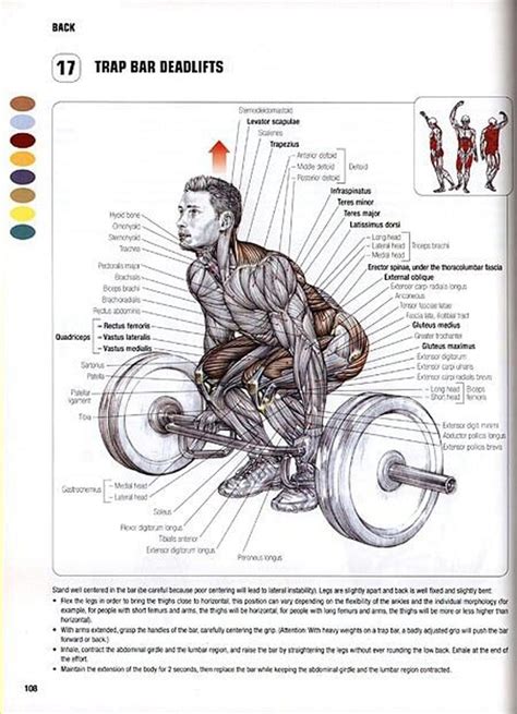 9 Hex Bar Deadlift Benefits to Get Fit Without Barbell Deadlifts