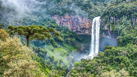 Waterfall in rainforest 4K wallpaper download