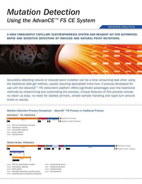 Mutation detection kit