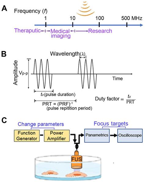 Sound waves and ultrasound parameters. (A) In ultrasound (US) field ...