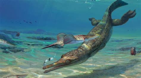 Newly-discovered ancient ‘marine crocodile’ fossil could be the oldest of its kind ever found ...