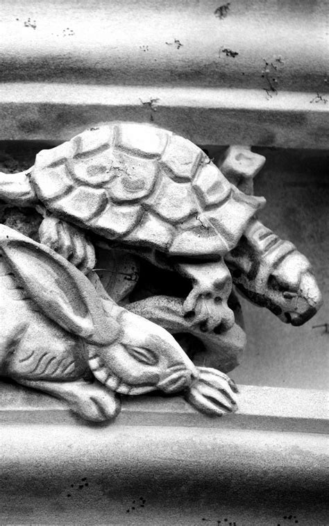 The Tortoise & the Hare in 2021 | Tortoise and hare, Architectural ...