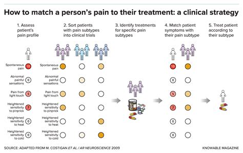 The Unexpected Diversity of Pain - Scientific American