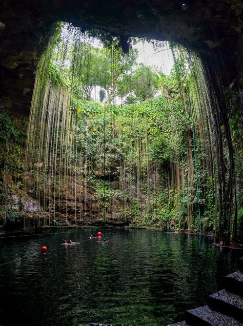 17 Best Cenotes Near Cancun (2024) | The Whole World Is A Playground