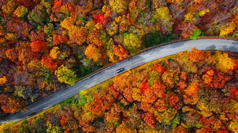 Which Fall Foliage Road Trip Is Right for You?