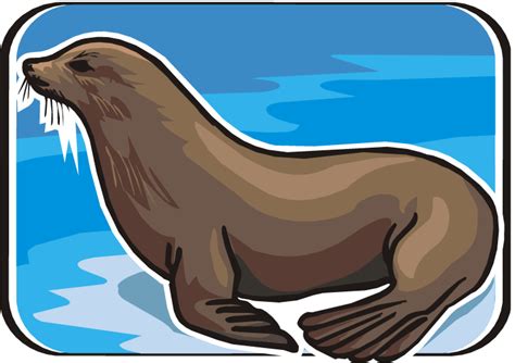 Seal Swimming Cliparts - Free and Downloadable Images for Learning and Creativity