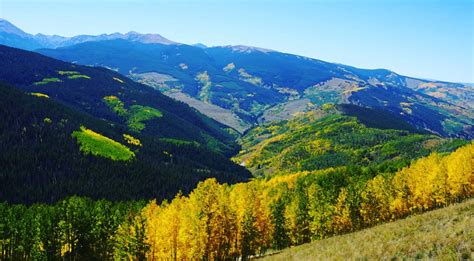 Scenic Drives in Colorado for Fall Colors | Insider Families