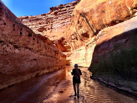 Journey Through the Canyons of Grand Staircase Escalante National ...