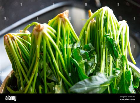 Spinach, The legend of the high iron content Stock Photo - Alamy