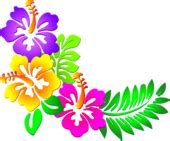 Hawaiian flower clip art borders free clipart images – Clipartix