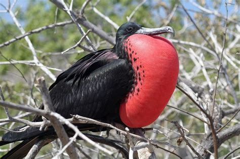 Bahía Junquillal National Wildlife Refuge, Costa Rica - City Guide - Go ...