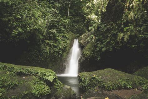 Waterfall in Lush Forest · Free Stock Photo