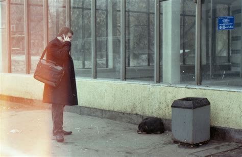 STRAY. film photography on Behance