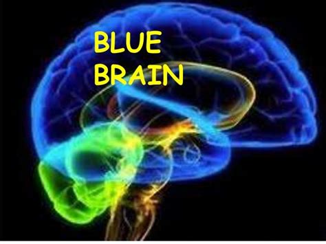 Blue brain project