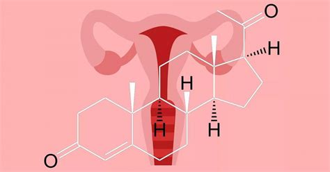 Progesterona: características y funciones de esta hormona | Hormonas ...