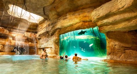 The cove at Atlantis Bahamas: the guide – Atlantis Trouwringen