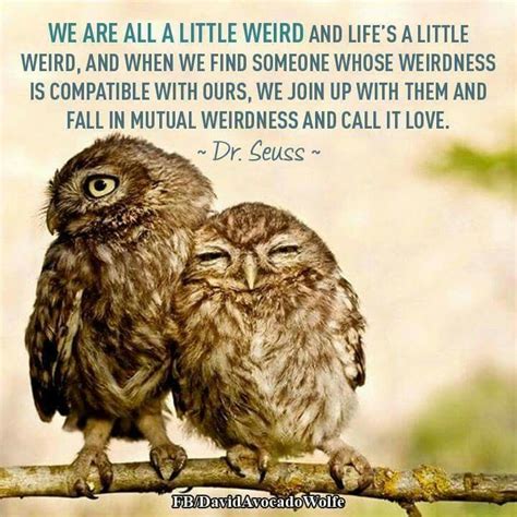 17 Best images about Owl - Quotes on Pinterest | We, Mothers and Wisdom