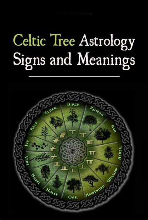 Pin by carmen laura on The Sun, The Moon And Stars | Celtic tree ...