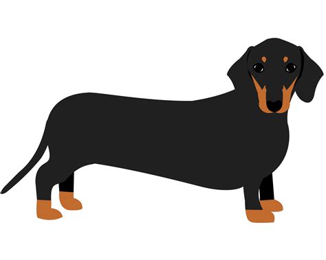 Dachshund clipart mother dog puppy, Dachshund mother dog puppy Transparent FREE for download on ...