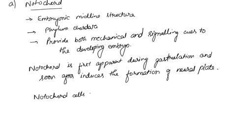 SOLVED: a. What is the notochord? When is the notochord first apparent? How are its cells ...