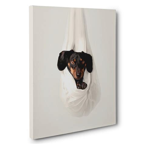 Amazon.com: Dachshund Photography CANVAS Wall Art : Handmade Products