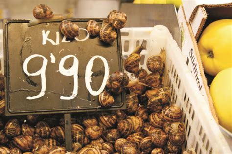 Edible Snails: Where to Buy, How to Grow and Cook These Dishes