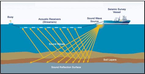 Oil & gas exploration survey gets green light | Mossel Bay Advertiser