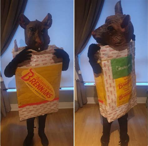 The most Irish Halloween costume this year : r/ireland