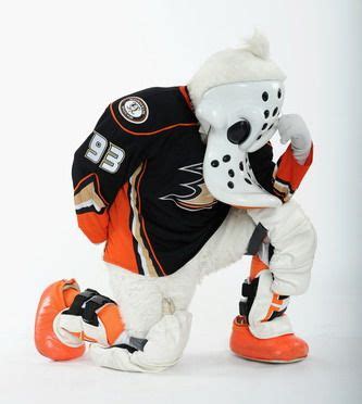 Wild Wing - Mascot of the Anaheim Ducks (NHL) | Animal Mascot and ...