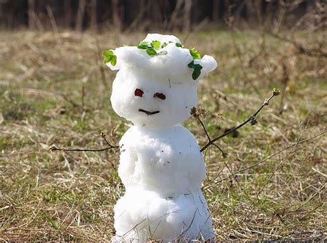 Melting Snowman Stock Photos, Pictures & Royalty-Free Images - iStock