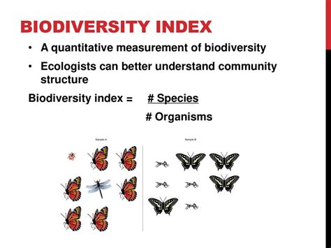 11-4: Community properties - ppt download