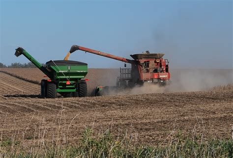 42N Observations: America's Best: Soy Bean Harvest Time