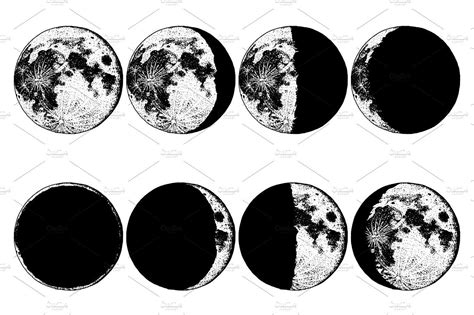 Moon phases 8 steps / Astronomy set | Moon phases, Moon phases drawing ...