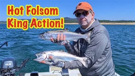 Folsom Lake Salmon Report - YouTube