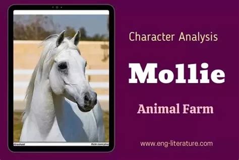 Mollie Animal Farm Character Analysis - All About English Literature