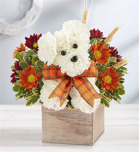 Dog Sympathy Flowers