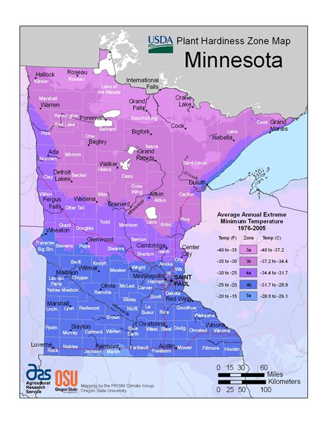 Plant Hardiness Zones | The How Do Gardener