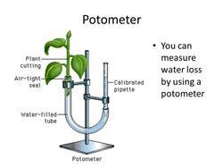 Potometer at Best Price in India